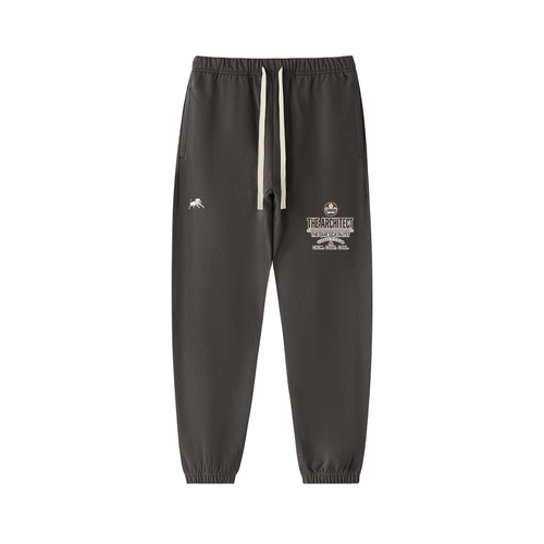 the architect, joggers