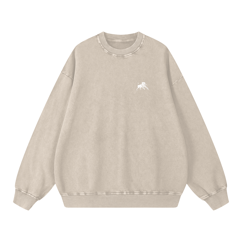 men, hoodies & sweatshirts