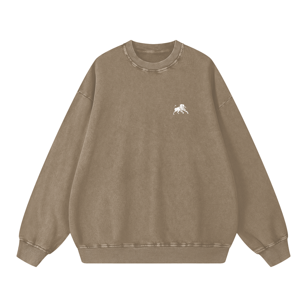 men, hoodies & sweatshirts