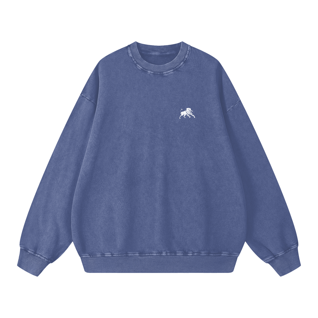 men, hoodies & sweatshirts